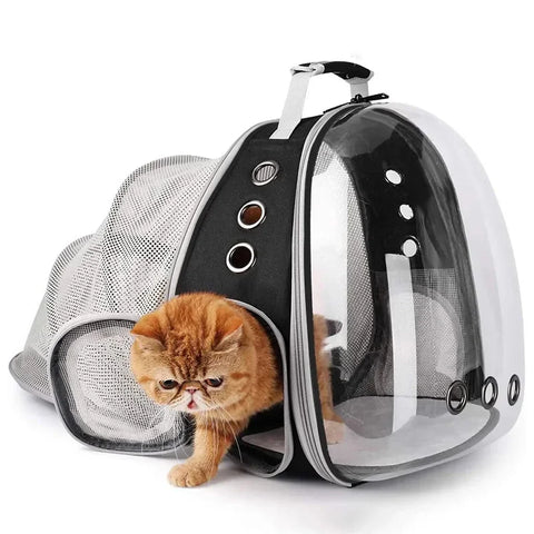 Sacs à dos pour chat