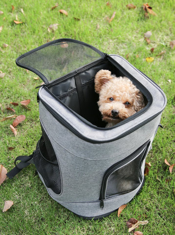 Sacs à dos pour chien