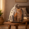 Sac à dos chat moto à hublot transparent — photo 2