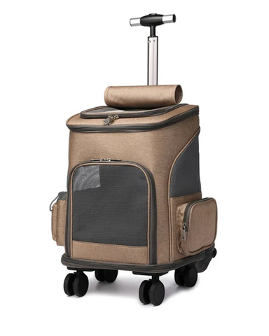 Kinderwagen & Transportkoffer