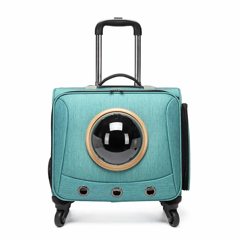Caisse de Transport Chien Filoucat