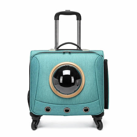 Caisse de Transport Chien Filoucat