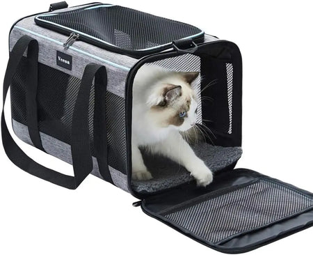 Caisse pour Transport de Chien Filoucat