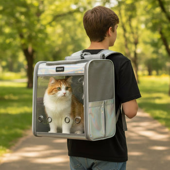 Sac à dos chat à façade panoramique transparente — photo 2