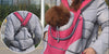 Porte Chien pour Randonnée pour chien – vue 11