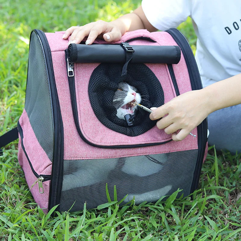 Sac à Dos Chaton Filoucat