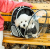 Sac à Dos Chien Moto pour chien – vue 7