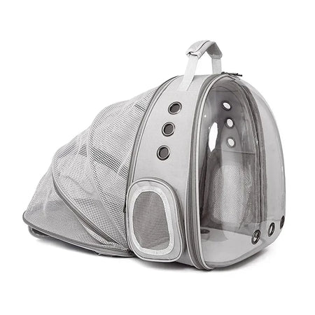 Sac à Dos Chien Moto Filoucat