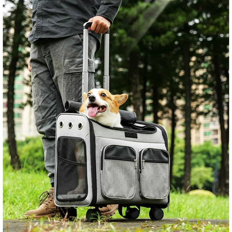 Sac pour Transporter Chien Filoucat