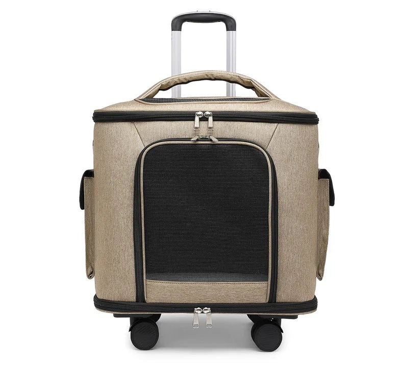 Sac Transport Chien Avion Filoucat