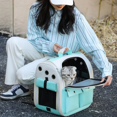 sacs de transport pour chiens